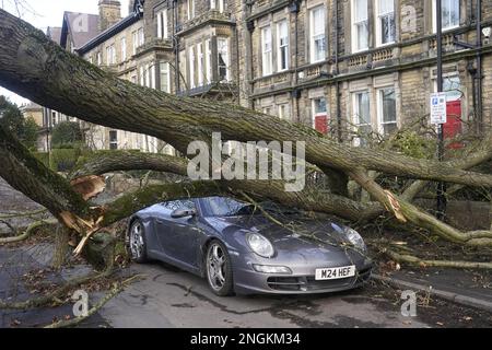 Aktenfoto vom 17. März 02/23 eines Porsche 911 Autos wurde durch einen umgestürzten Baum in Harrogate, North Yorkshire, durch den Sturm Otto beschädigt. Etwa 2.000 Häuser, die während des Sturms Otto den Strom verloren hatten, waren am Samstagmorgen immer noch nicht wieder an das Stromnetz angeschlossen. Das Met-Büro sagte, der Sturm sei „gut und wirklich aufgeräumt“, aber rund 2.000 Häuser in Aberdeenshire sind noch immer ohne Strom. Ausgabedatum: Samstag, 18. Februar 2023. Stockfoto