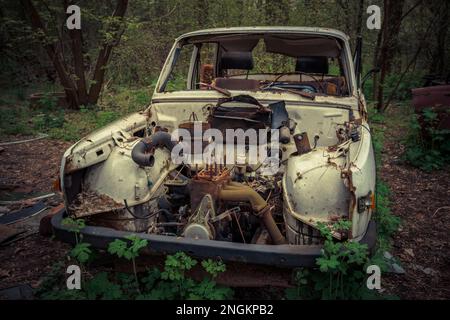 Verlassene und ausgeraubte alte Autos, die unter freiem Himmel standen. Autos gibt es nicht mehr Stockfoto