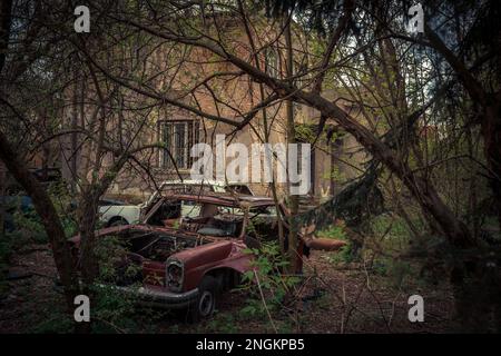 Verlassene und ausgeraubte alte Autos, die unter freiem Himmel standen. Autos gibt es nicht mehr Stockfoto