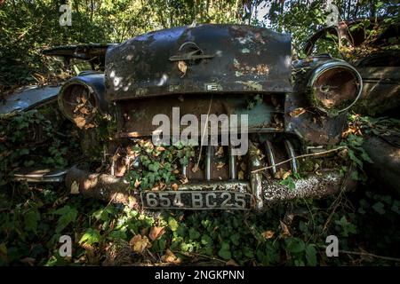 Ein altes verlassenes Auto steht im Unterholz rostig. Frankreich Stockfoto