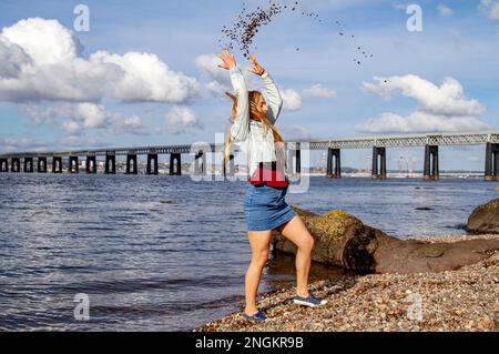 An einem wunderschönen Oktobertag in Wormit Beach, Fife, wirft Rhianna Martin Kiesel über ihren Kopf in den Fluss Tay, Schottland Stockfoto