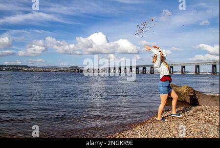 An einem wunderschönen Oktobertag in Wormit Beach, Fife, wirft Rhianna Martin Kiesel über ihren Kopf in den Fluss Tay, Schottland Stockfoto