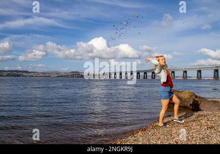 An einem wunderschönen Oktobertag in Wormit Beach, Fife, wirft Rhianna Martin Kiesel über ihren Kopf in den Fluss Tay, Schottland Stockfoto