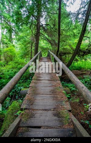 Der Weg zum Shi Beach im Olympic-Nationalpark führt durch die Makah Tribal Lands im Bundesstaat Washington, USA Stockfoto