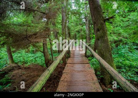 Der Weg zum Shi Beach im Olympic-Nationalpark führt durch die Makah Tribal Lands im Bundesstaat Washington, USA Stockfoto