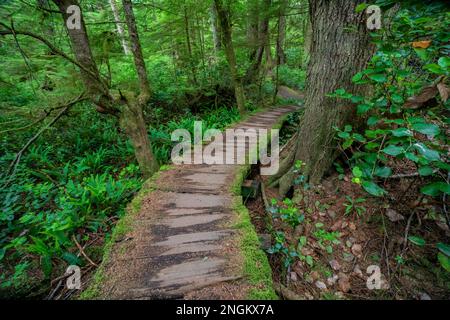 Der Weg zum Shi Beach im Olympic-Nationalpark führt durch die Makah Tribal Lands im Bundesstaat Washington, USA Stockfoto