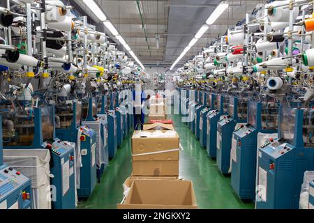 Textilindustrie mit Strickmaschinen in der Fabrik. Eine Mitarbeiterin führt eine visuelle Qualitätskontrolle der Strumpfwaren durch. Stockfoto