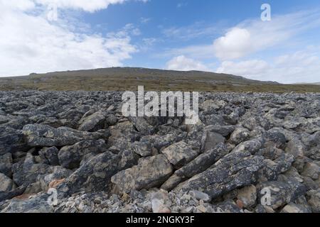 Stone Run außerhalb von Stanley - die Falklandinseln Stockfoto