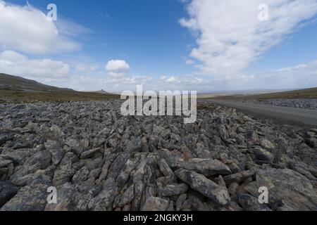 Stone Run außerhalb von Stanley - die Falklandinseln Stockfoto