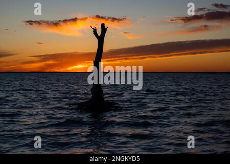 Sonnenuntergang über Chincoteague Bay, Assateague Island National Seashore, Maryland Stockfoto