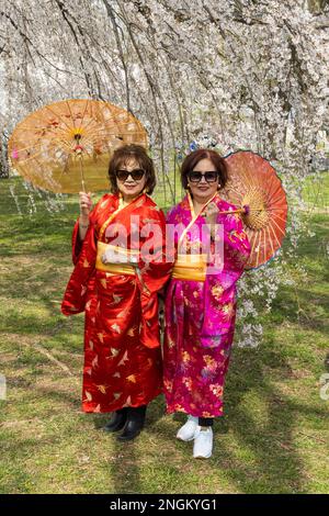 2 Frauen in roten Kimonos mit Sonnenschirmen unter den Kirschblüten im Tidal Basin in Washington, DC Stockfoto