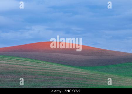 Letzte Ampel auf den sanften Hügeln der Palouse, Whitman County, Washington Stockfoto