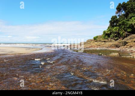 Ein Fluss aus kristallinem Wasser, der aus dem Atlantikwald kommt, trifft auf das Meer, an einem Strand an der Cocoa Coast. Stockfoto