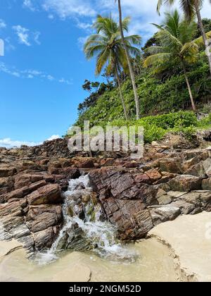 Eine Kaskade aus kristallklarem Wasser, das aus dem Atlantikwald kommt, fließt auf den Strand Stockfoto