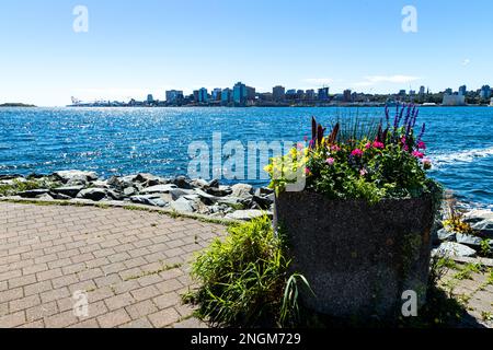 Blick auf Halifax vom Alderney Gate Ferry Terminal, Dartmouth - Halifax, Nova Scotia, Kanada 1 Stockfoto