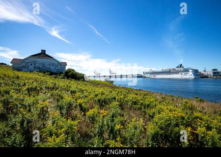 Kreuzfahrtschiff Norwegian Pearl im Halifax Harbour View von Georges Island - Halifax, Nova Scotia, Kanada Stockfoto