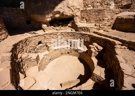 Badger House Kiva Im Mesa Verde Nationalpark Stockfoto