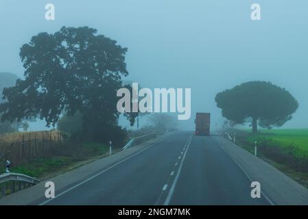 Containerlaster, der an einem nebeligen Tag auf einer konventionellen Autobahn fährt. Stockfoto