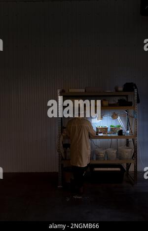 Ein Wissenschaftler im Morgenmantel im Schatten steht neben dem Licht auf einem Regal in der Nähe von Versuchspflanzen. Stockfoto