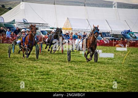 Die jährliche Kilnsey Show in den Yorkshire Dales mit Harness-Rennen, die nach Abschluss der Hauptveranstaltungen gegen den frühen Abend stattfindet. Stockfoto