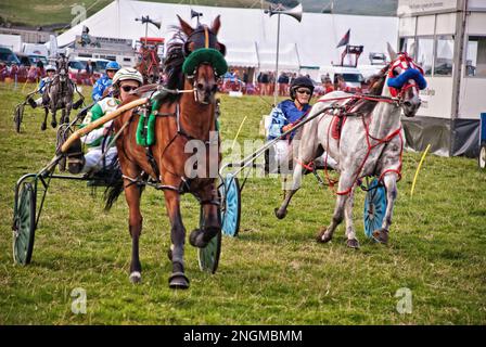 Die jährliche Kilnsey Show in den Yorkshire Dales mit Harness-Rennen, die nach Abschluss der Hauptveranstaltungen gegen den frühen Abend stattfindet. Stockfoto