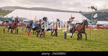 Die jährliche Kilnsey Show in den Yorkshire Dales mit Harness-Rennen, die nach Abschluss der Hauptveranstaltungen gegen den frühen Abend stattfindet. Stockfoto