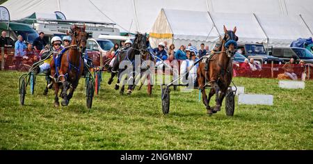 Die jährliche Kilnsey Show in den Yorkshire Dales mit Harness-Rennen, die nach Abschluss der Hauptveranstaltungen gegen den frühen Abend stattfindet. Stockfoto