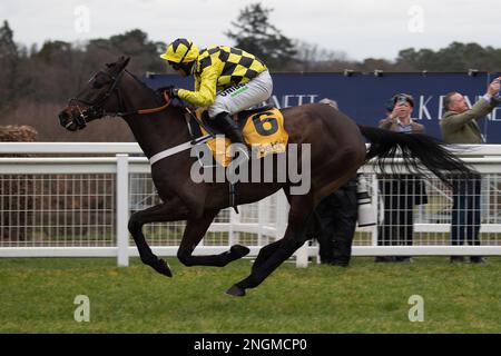 Ascot, Berkshire, Großbritannien. 18. Februar 2023. Pferd Shishkin, geritten vom Jockey Nico de Boinville, gewinnt die Betfair Ascot Steeple Chase auf der Ascot Racecourse. Trainer Nicky Henderson, Lambourn. Die Besitzerin Mrs J. Donnelly. Kredit: Maureen McLean/Alamy Live News Stockfoto