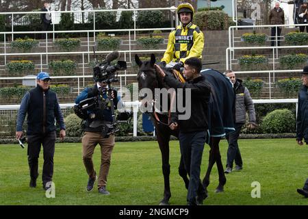 Ascot, Berkshire, Großbritannien. 18. Februar 2023. Pferd Shishkin, geritten vom Jockey Nico de Boinville, gewinnt die Betfair Ascot Steeple Chase auf der Ascot Racecourse. Trainer Nicky Henderson, Lambourn. Die Besitzerin Mrs J. Donnelly. Kredit: Maureen McLean/Alamy Live News Stockfoto