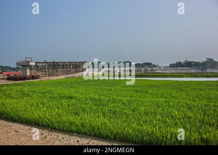 Unter der Baubrücke in Paikgacha, Khulna, Bangladesch. Stockfoto