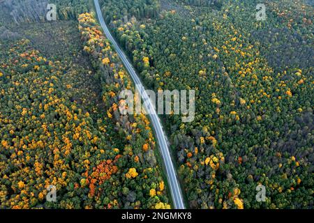 Luftaufnahme der Straße durch den wunderschönen Herbstwald Stockfoto