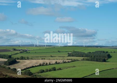 Landschaft mit offenem Ackerland mit Hecken und entfernten Windturbinen Stockfoto