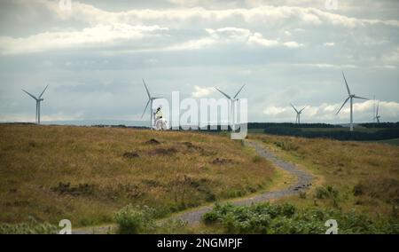 Landschaftsbild eines Reiters durch das Heideland mit sechs Windturbinen in der Ferne im Frühsommer Stockfoto