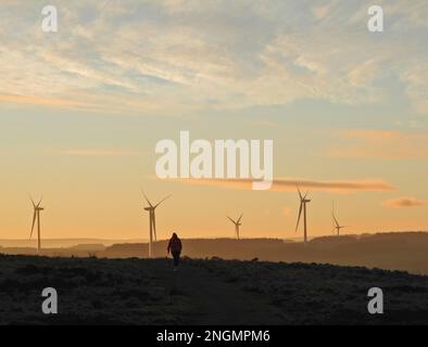 Die Landschaft zeigt einen einsamen Wanderer mit Hund, der das offene Land überquert, während die Sonne untergeht und ein goldenes Licht mit fünf Windturbinen in der Nähe gibt Stockfoto