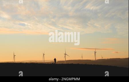 Hundegang in Silhouette auf der Stirn eines Hangs im späten Winter, wenn die Sonne untergeht, mit entfernten Windturbinen, die alle in einem warmen Licht erstrahlen Stockfoto