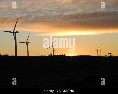 Windturbinen in Silhouette gegen das warme Licht der untergehenden Sonne am Horizont und mit dunklem Vordergrund Stockfoto