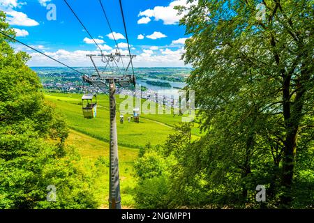 Seilbahn über Weinbergen in der Nähe des Rheins in Ruedesheim am Rhein, Rudesheim, Rheingau-Taunus-Kreis, Darmstadt, Hessen, Deutschland. Stockfoto