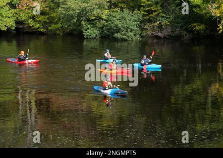 Farbenfrohes Bild einer Gruppe von Kajakfahrern, die an einem sonnigen Herbsttag den Fluss hinunter fahren Stockfoto