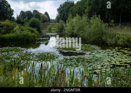 Burg Bourtange - Graben Stockfoto