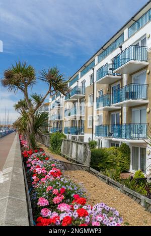 BRIGHTON, Sussex/UK - 31. August: Blick von Apartments in Brighton Marina in Brighton, East Sussex am 31. August 2019 Stockfoto