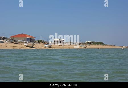 Fischerhäuser auf der Landseite der Küstenspieße Ria Formosa NP, Algarve, Portugal April Stockfoto