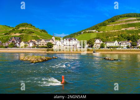 Kleine Insel im Fluss in der Nähe von Ruedesheim Assmannshausen, Rudesheim am Rhein Rhein, Rheingau-Taunus-Kreis, Darmstadt, Hessen, Deutschland. Stockfoto