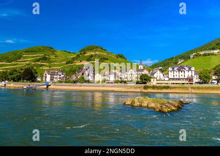 Kleine Insel im Fluss in der Nähe von Ruedesheim Assmannshausen, Rudesheim am Rhein Rhein, Rheingau-Taunus-Kreis, Darmstadt, Hessen, Deutschland. Stockfoto