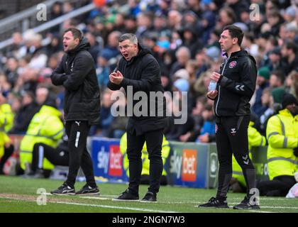 Plymouth Argyle Manager Steven Schumacher und Plymouth Argyle Assistant Manager Mark Hughes sowie Fleetwood Town Manager Scott Brown (m) im Dugout während des Spiels der Sky Bet League 1 Plymouth Argyle vs Fleetwood Town at Home Park, Plymouth, Großbritannien, 18. Februar 2023 (Foto von Stanley Kasala/News Images) Stockfoto