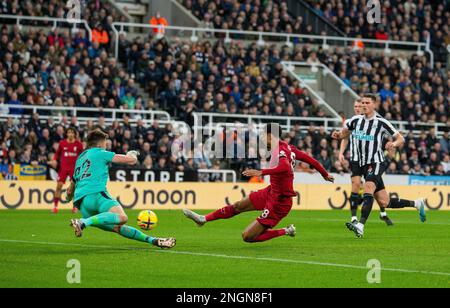 Newcastle, Großbritannien. 18. Februar 2023; St James' Park, Newcastle, England: Premier League Football, Newcastle United gegen Liverpool; Cody Gakpo von Liverpool schafft es 2-0 in der 17.-minütigen Gutschrift: Action Plus Sports Images/Alamy Live News Stockfoto