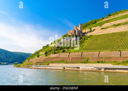 Alte deutsche Festung, Ruinen der Burg Ehrenfels in Ruedesheim am Rhein, Rudesheim, Rheingau-Taunus-Kreis, Darmstadt, Hessen, Deutschland. Stockfoto