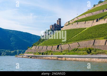 Alte deutsche Festung, Ruinen der Burg Ehrenfels in Ruedesheim am Rhein, Rudesheim, Rheingau-Taunus-Kreis, Darmstadt, Hessen, Deutschland. Stockfoto