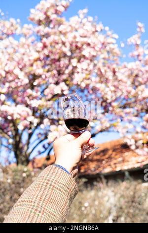 Portwein-Tests, jemand, der Glas mit Rubinwein hält Stockfoto