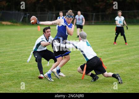 Luftduellen zwischen Oppositionsspielern während eines Flaggenfußballspiels in Wales. Stockfoto