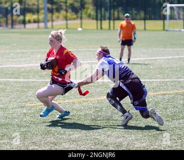 Luftduellen zwischen Oppositionsspielern während eines Flaggenfußballspiels in Wales. Stockfoto